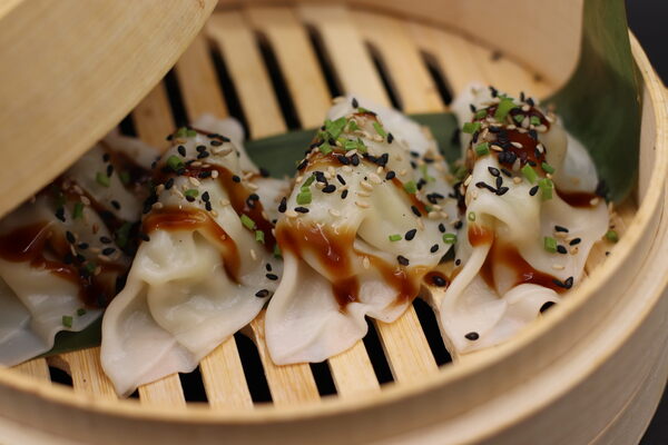 Gyozas de verduras